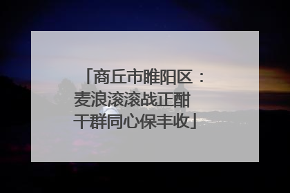 商丘市睢阳区：麦浪滚滚战正酣 干群同心保丰收